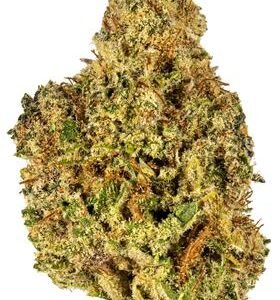 Blackberry weed Strain
