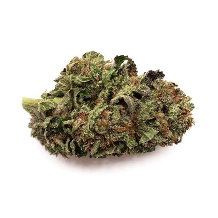 Buy Master Kush