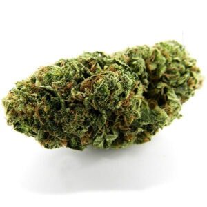 Sour Diesel Strain