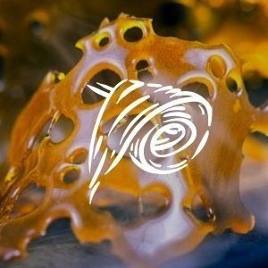 Concentrates