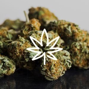 CANNABIS