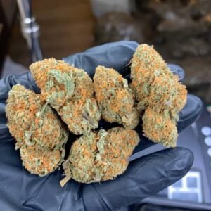 Girl Scout Cookies Extreme