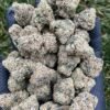 Sour Diesel