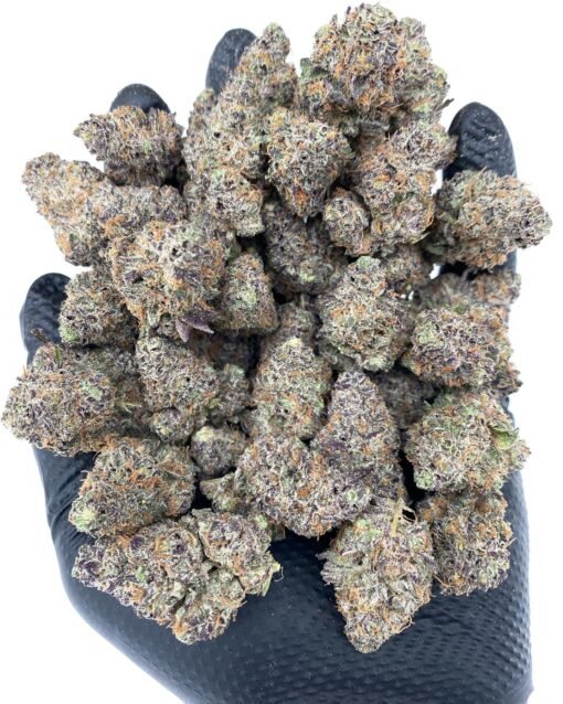 ghostbudstersfarm-20210123-0004-510x638