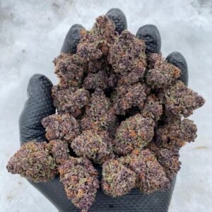 Purple Kush