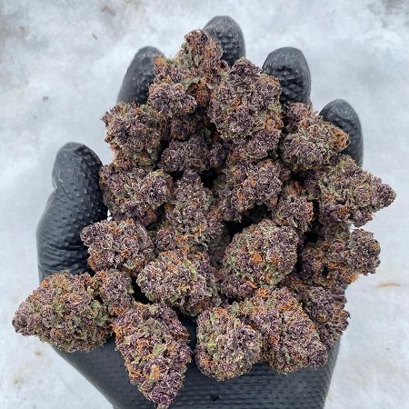 ghostbudstersfarm-20210123-0012