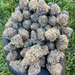 Blue Berry