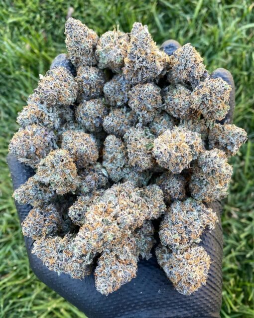 ghostbudstersfarm-20210123-0019-510x638