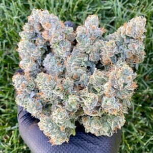 Black Diamond