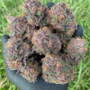 Super Lemon Haze