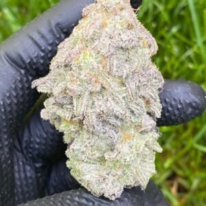 G13 Haze