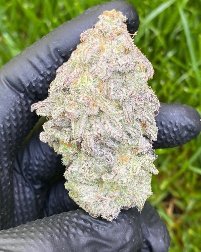 ghostbudstersfarm-20210123-0059