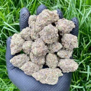 Jack Herer