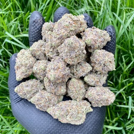 ghostbudstersfarm-20210123-0063