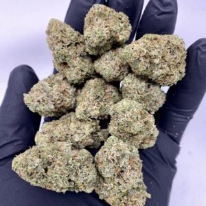 Sour Diesel Strain