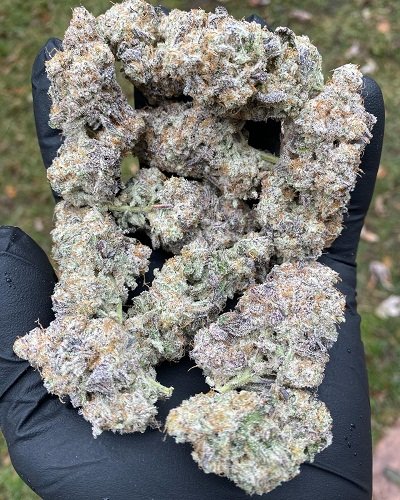 ghostbudstersfarm-20210123-0106
