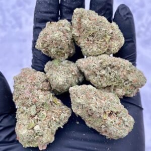 AK 47 Strain