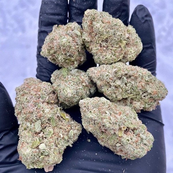 ghostbudstersfarm-20210123-0109