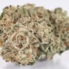 Gorilla Glue