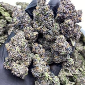 Grand Daddy Purple