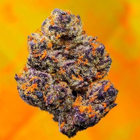 indu-kush