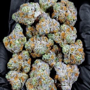 Jack Herer Strain