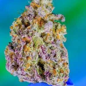 Northern lights #5