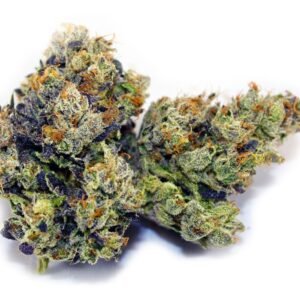 ZaZa Kush