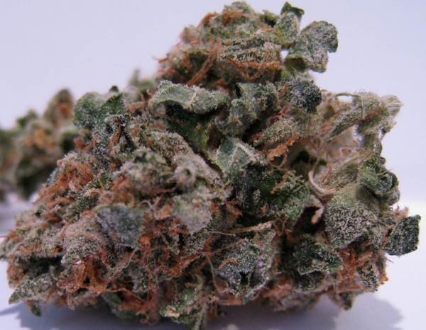 707-headband-bc-web