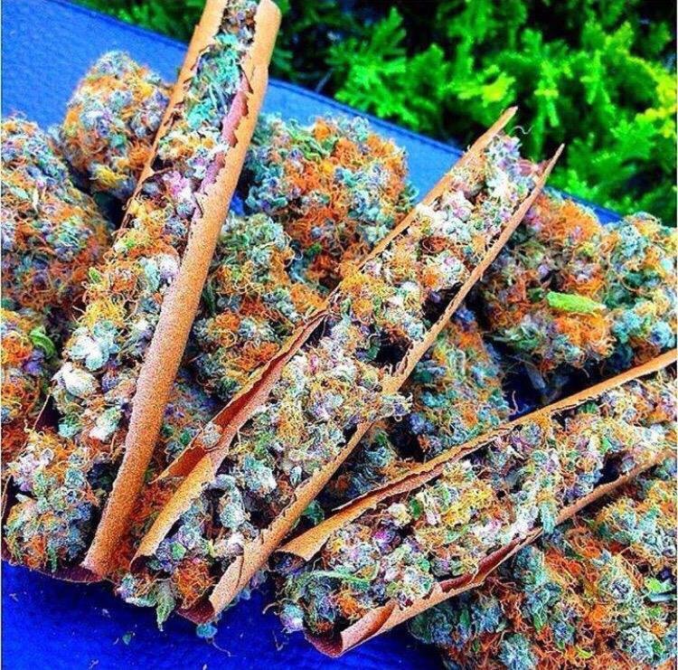 Buy Rainbow Kush online