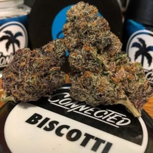 Buy Biscotti Strain
