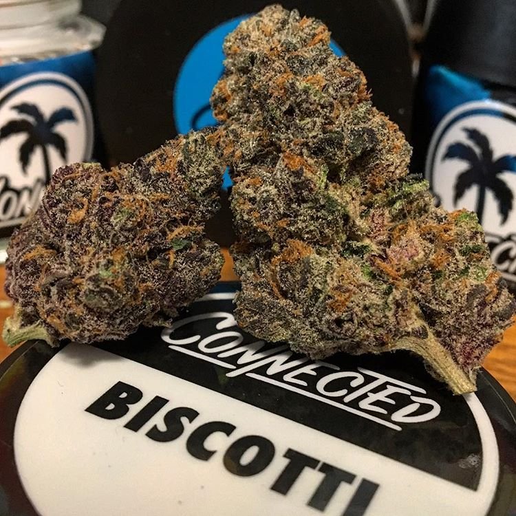 CONNECTED-BISCOTTI