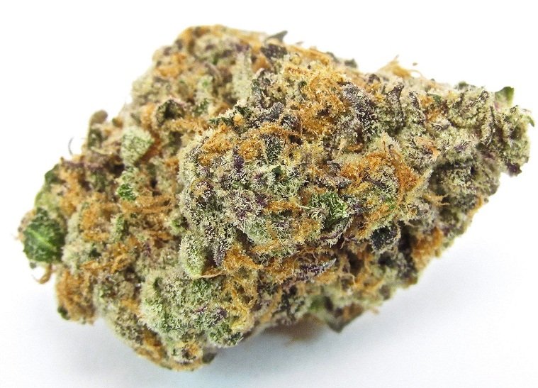 Cereal-Milk-Marijuana-strain