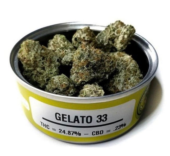 GELATO