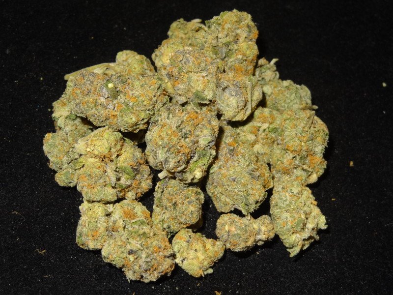 Gelato-41
