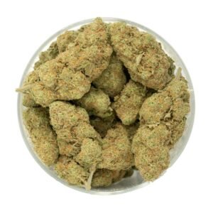 Ghost Cookies Strain