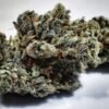 BUY ICE MARIJUANA STRAIN