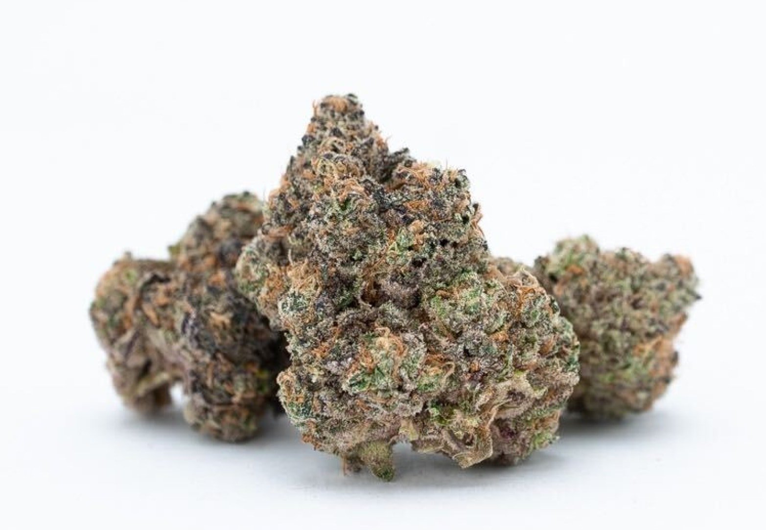KUSH MINTZ