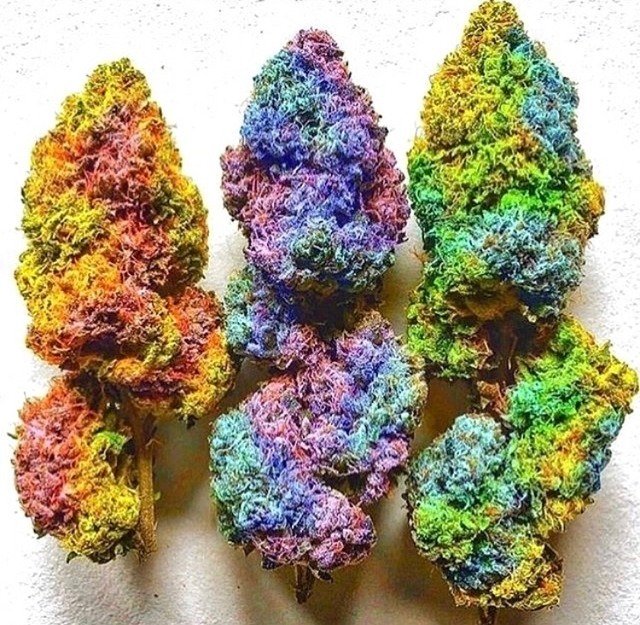 Rainbow kush strain