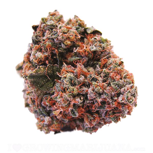 STRAWBERRY