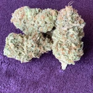 Blue Gelato #41