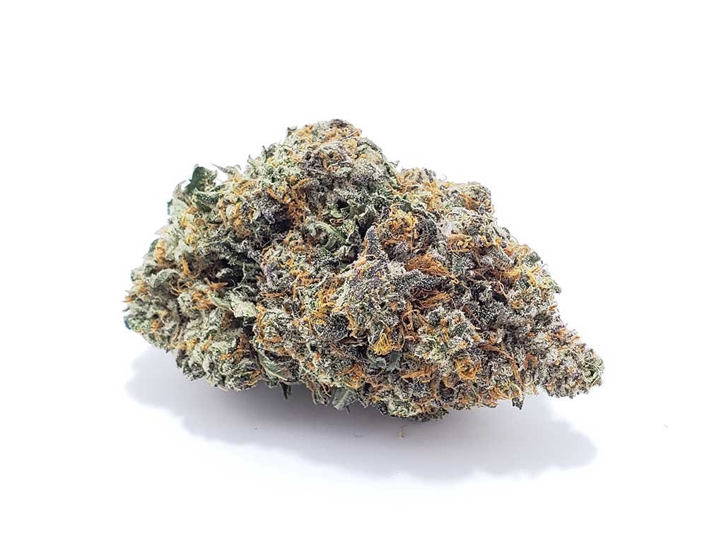 bluegelato