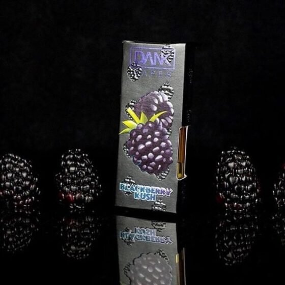 dankvapes.officialaccount_60911499_126259165238045_5513113601359085527_n-560x560-1.jpg